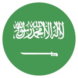 SA Flag